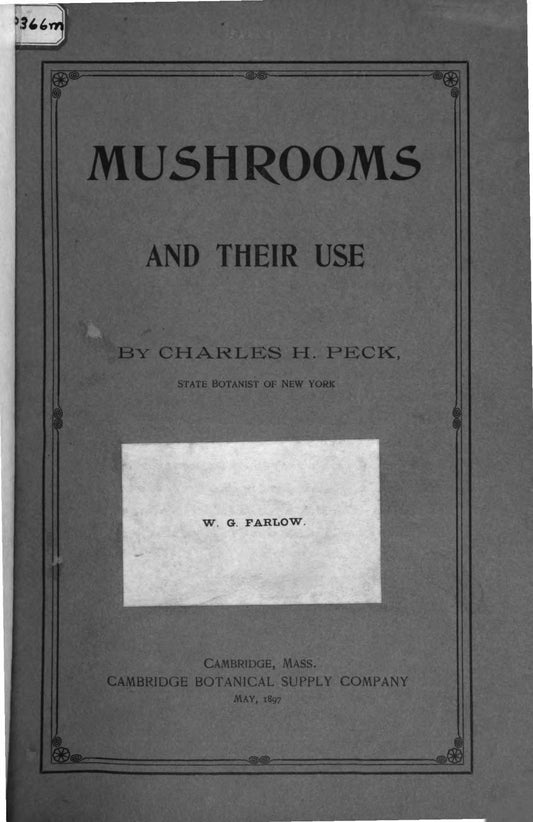 Mushrooms and their use