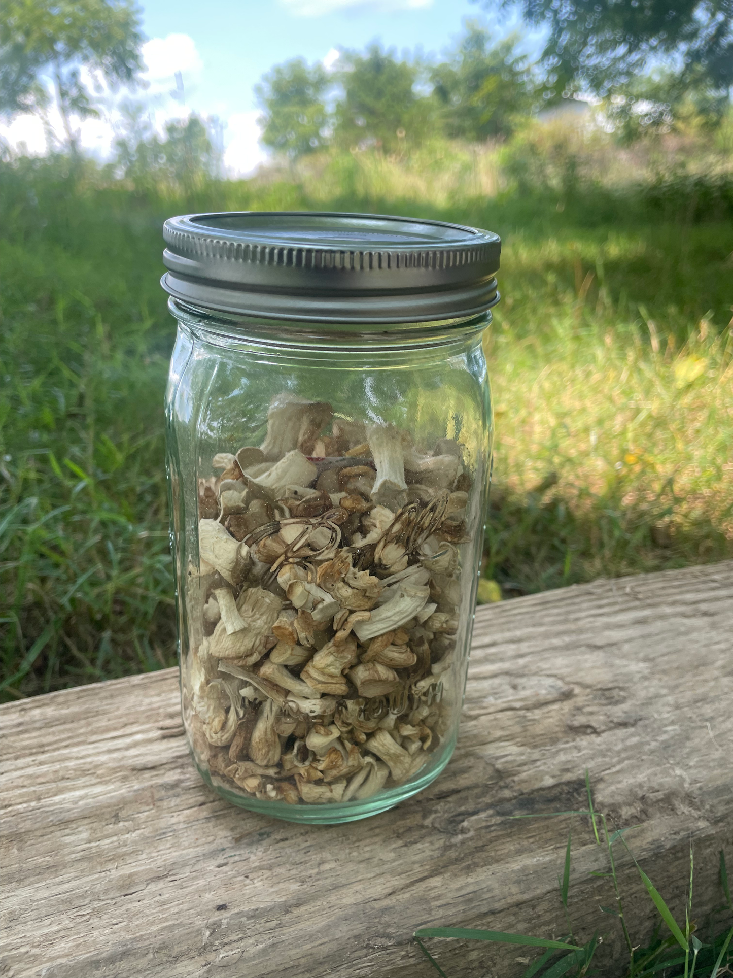 Dehydrated Shiitake Stems 3oz